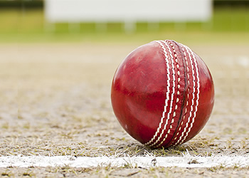 cricket